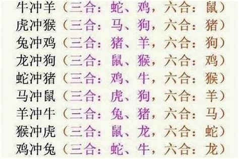 生肖6合|最全12生肖三合、六合、相冲、相害详细讲解！（上）